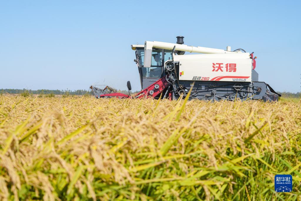 新甫京娱乐娱城